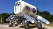 ATHLETE - Nasa Spinne