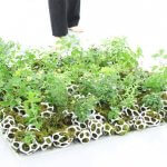 Grüne Großstadt dank Cella und 3D-Druck