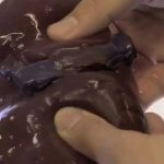 Leber aus dem 3D-Drucker