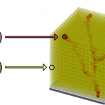 Deutsche Forscher wollen menschliche Knochen mit Gefäßzellen drucken