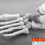 Knochen aus 3D-Drucker