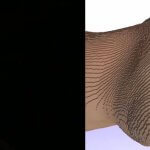 Fraunhofer-Institut entwickelt Software „Cuttlefish“ für 3D-Farbdruck