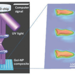 Mini-Roboterfische aus dem 3D-Drucker entgiften Wasser