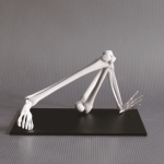 Leg & Hand von Monika Horčicová