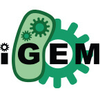 iGEM – Synthetische Biologie Logo iGEM