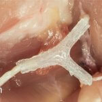 Signalweg aus dem 3D-Drucker