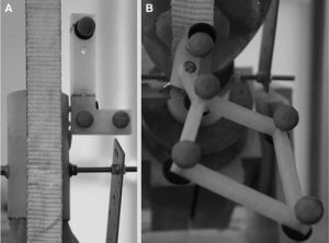 Forschungen an Knieproblemen mit dem 3D-Drucker