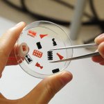 3D-Druck patientenspezifischer Tabletten geplant
