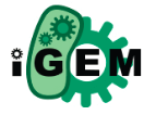 Logo iGEM