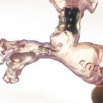 3D-gedrucktes Kinderherz.