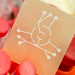 Wasserschnelltest für Bakterien