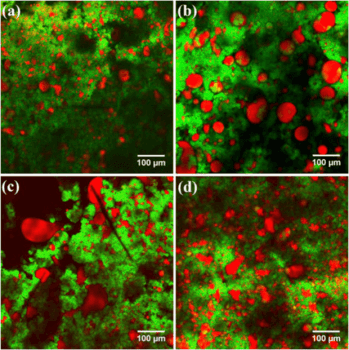 3D-gedruckter Käse unter dem Mikroskop