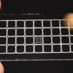 Glasschieber mit Teflonbeschichtung, Wachsgitter und Antikörper-Array