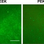PEKK Proben