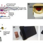 Smartphone-Mikroskop