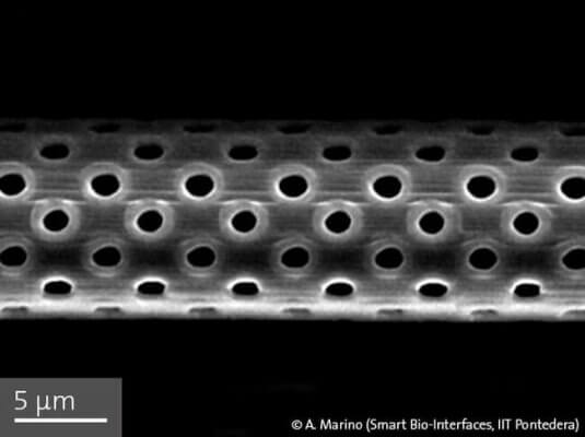 Poröse Röhrenstruktur eines nachgebildeten natürlichen mikrofluidischen Systems