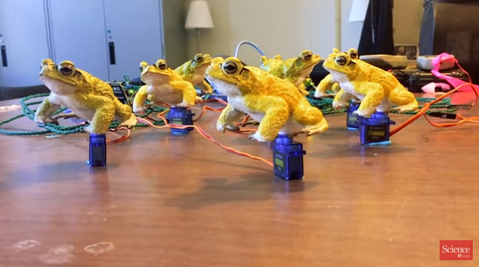 3d gedruckte gelbe Kröten