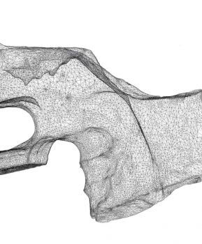 3D-Scan von dem bionischen Biathlongewehr