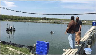 Fischzüchter vor dem Fischteich