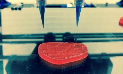 Fleischersatz aus dem 3D-Drucker