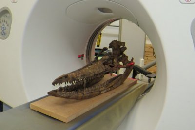 Skelett im CT-Scanner