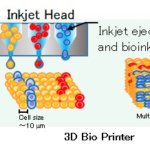 Ricoh und Elixirgen Scientific iPS