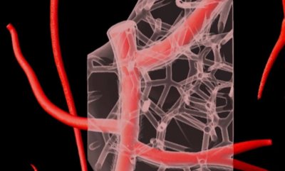 Organische Verbindungen im Herz
