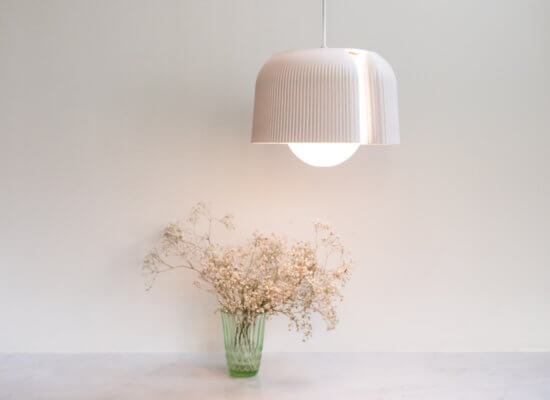 Leuchte und Blumen von Plumen