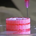 Trachea-Konstrukt auf integriertem Tissue Organ Drucker von WFSIRM