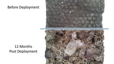 ECOncrete Platten vorher nachher