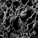 3D-gedruckte Korallen