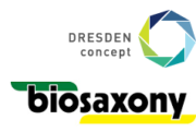 Logo DRESDEN-concept und biosaxony e.V.