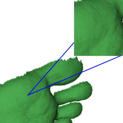 3D-Modell eines Fußes