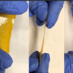 Biosensor der Clarkson University