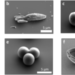 3D-Druckobjekte für das Projekt der Universiteit Leiden