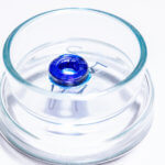 ringförmiges Implantat in Schale