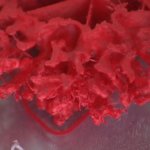 3D-gedrucktes Korallenriff