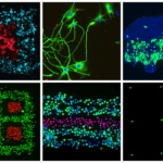 Zellbasierte Strukturen