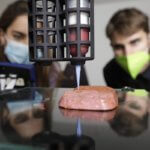 3D-Druck und Fleisch