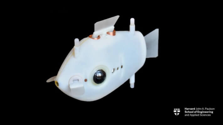 Roboterfisch aus dem 3D-drucker