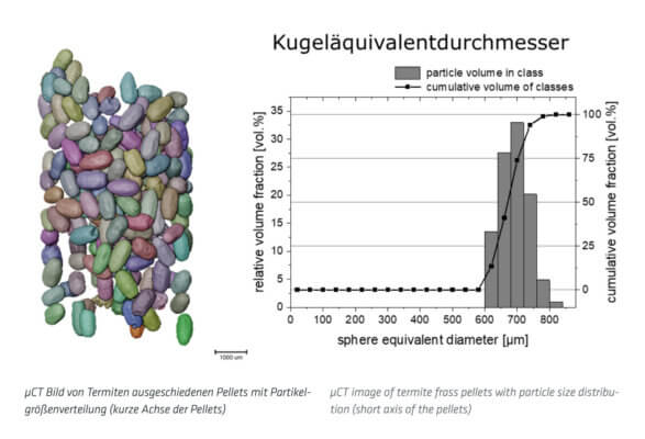 Bild von Pellets mit Partikelgrößenverteilung