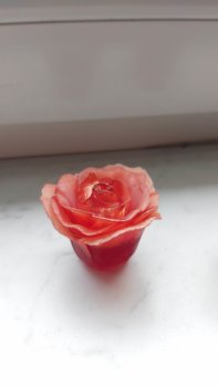 Testdruck mit dem Anycubic Photon Mono