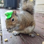 Frau Winky mit Luigi Hut