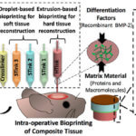 Bioprinting-Prozedere grafisch dargestellt