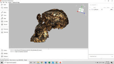 Artec Studio-Screenshot von DNH 155 mit Textur
