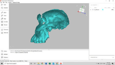 DNH 155-Schädel als 3D-Modell nach dem 3D-Scanning