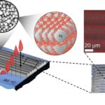 Details zur Untersuchung beim Inkjet-3D-Druck