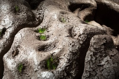 3d-gedruckte Landschaft Magic Queen mit Gras