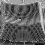 Kugel trifft auf Objekt