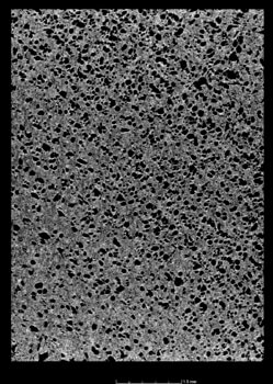 CT-Aufnahme einer im AKF-Verfahren geschäumten ABS-Schicht innerhalb eines Bauteils